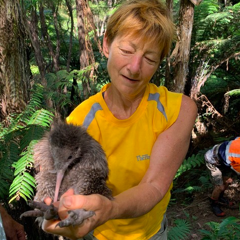 Calling for Workday Helpers - Ōtanewainuku Kiwi Trust