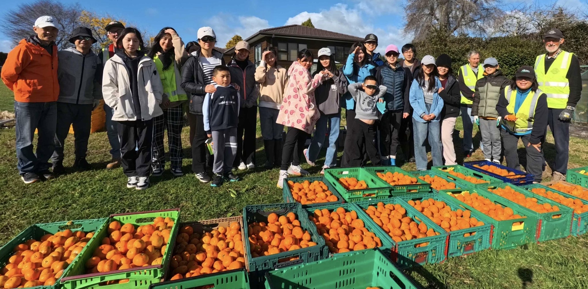 Bill and Team with Rangatahi from Tauranga Chinese Christian Church Harvesting Mandarins in Te Puna