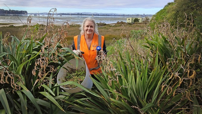 Jacquie Ashton Hands-On. Photo / Leonie Johnsen